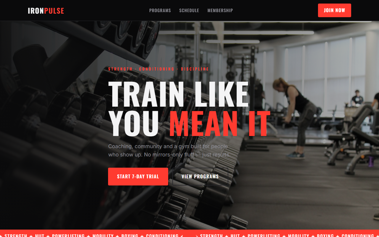 IRONPULSE gym website preview